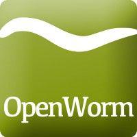 openworm foundation