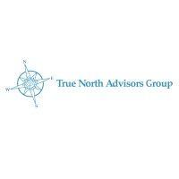 true north advisors group logo image