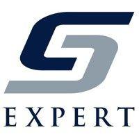 expert systems limited