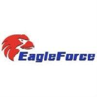 eagleforce associates inc. logo image