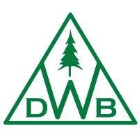 dwb consulting services ltd. logo image