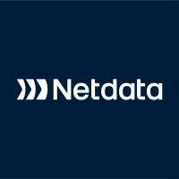 netdata cybersecurity logo image