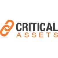 critical assets logo image