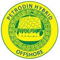 petrodin hybrid offshore logo image