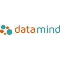 data mind logo image