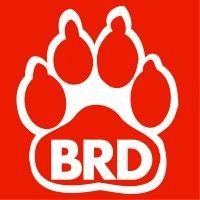 big red dog engineering | consulting logo image