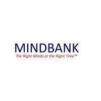 mindbank consulting group, llc logo image