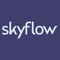 skyflow logo image