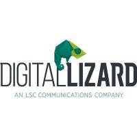 digital lizard logo image