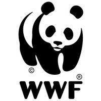 wwf myanmar logo image