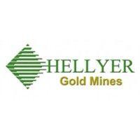 hellyer gold mines pty ltd logo image