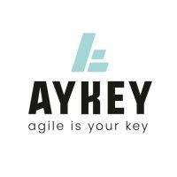 aykey logo image