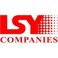 lsy international, inc. logo image