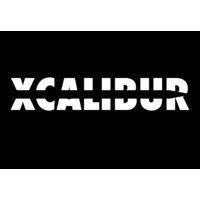 xcalibur iic logo image