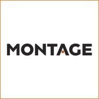 montage professional services logo image