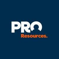 pro resources logo image