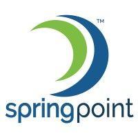 spring point solutions logo image