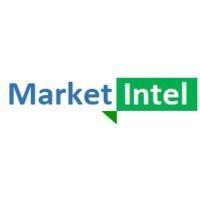 marketintel logo image