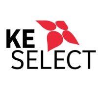 ke select - scientific & medical recruitment specialists logo image