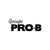 groupe pro-b