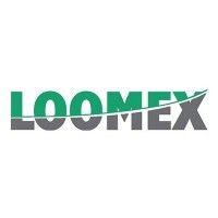 the loomex group logo image