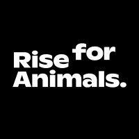 rise for animals logo image