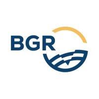 federal institute for geosciences and natural resources (bgr) logo image