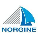 logo of Norgine