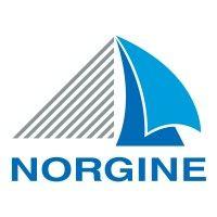 norgine logo image