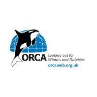 orca (organisation cetacea) logo image