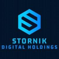 stornik - digital holdings logo image