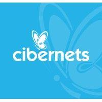 cibernets web design llc logo image