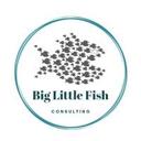 logo of Big Little Fish