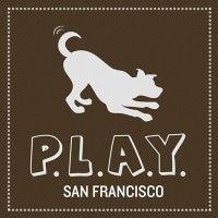 p.l.a.y. pet lifestyle and you logo image