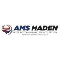 ams haden logo image