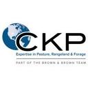 logo of Ckp Insurance