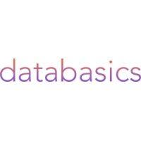 databasics logo image