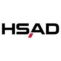 hsad (giir germany gmbh) logo image