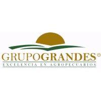 grupo grandes roman s.a.