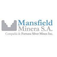 mansfield minera sa logo image