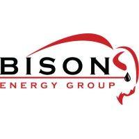 bison energy group, llc