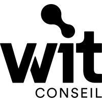 wise it conseil logo image