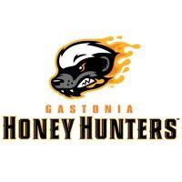 gastonia honey hunters