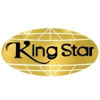 kingstar colchões logo image