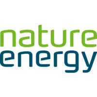 nature energy logo image