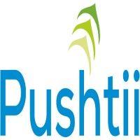 pushtii web & it solutions (p) ltd. logo image