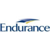 endurance logo image