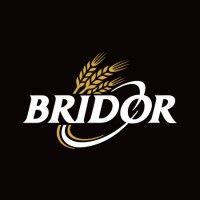 bridor north america logo image