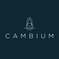 the cambium group logo image