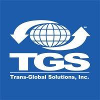 trans-global solutions, inc. logo image